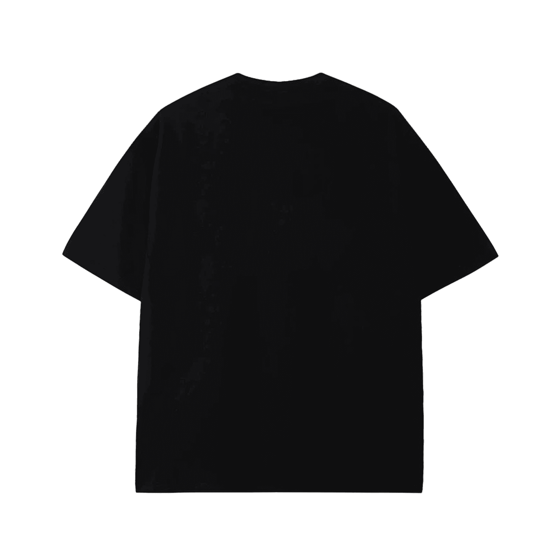 Футболка Arcteryx KRAGG Logo T — фото 3