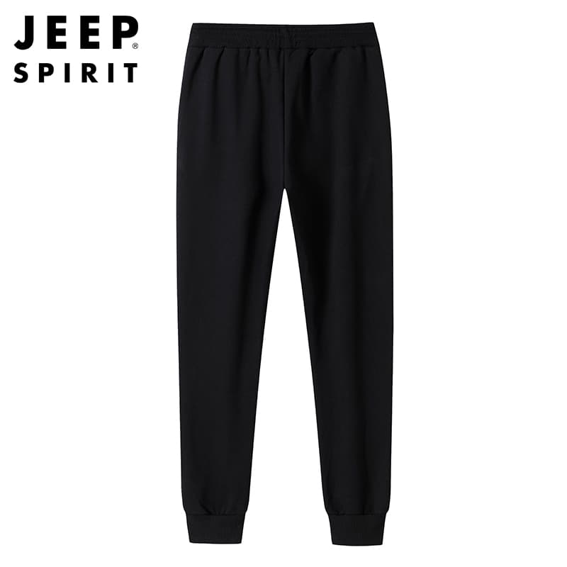 Штаны JEEP SPIRIT Leisure Collection Трикотажная ткань Спортивные брюки Мужской - изображение 2