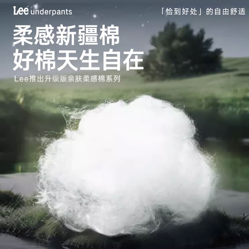 Трусы Lee - изображение 3