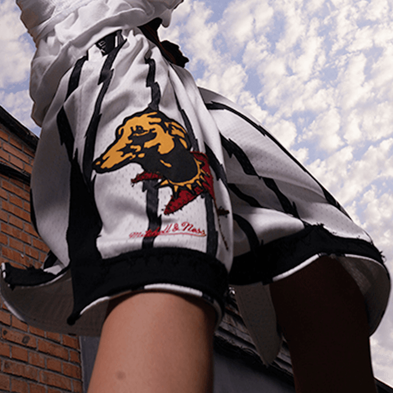 Баскетбольные шорты Mitchell Ness x .PAC - изображение 6