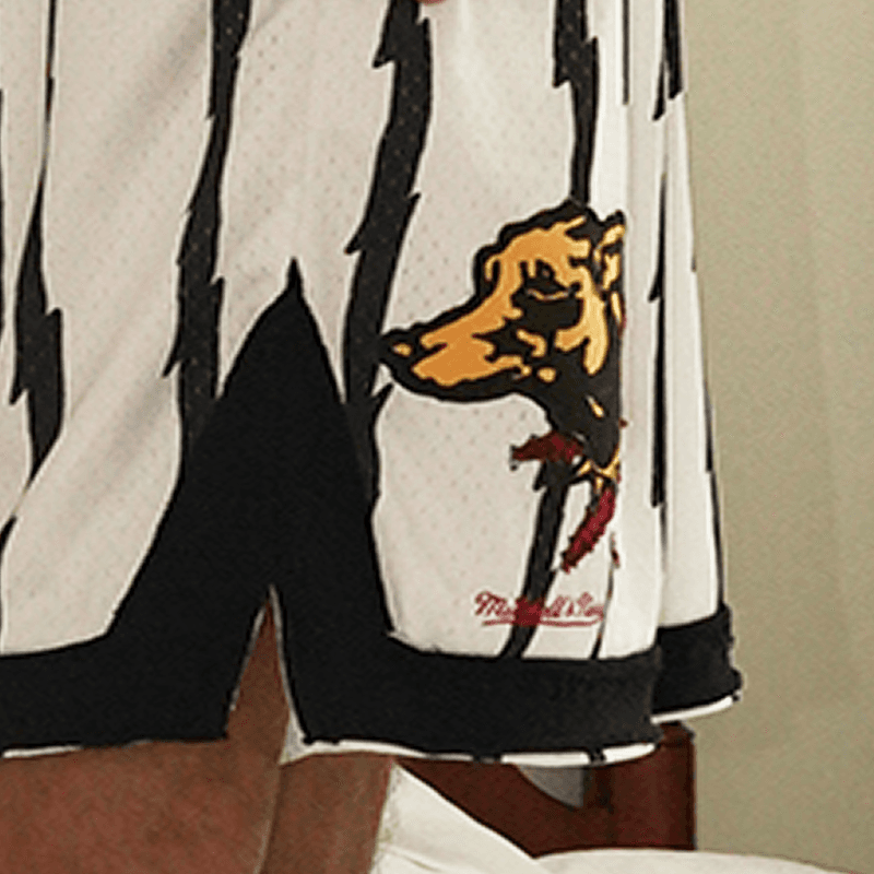 Баскетбольные шорты Mitchell Ness x .PAC - изображение 7