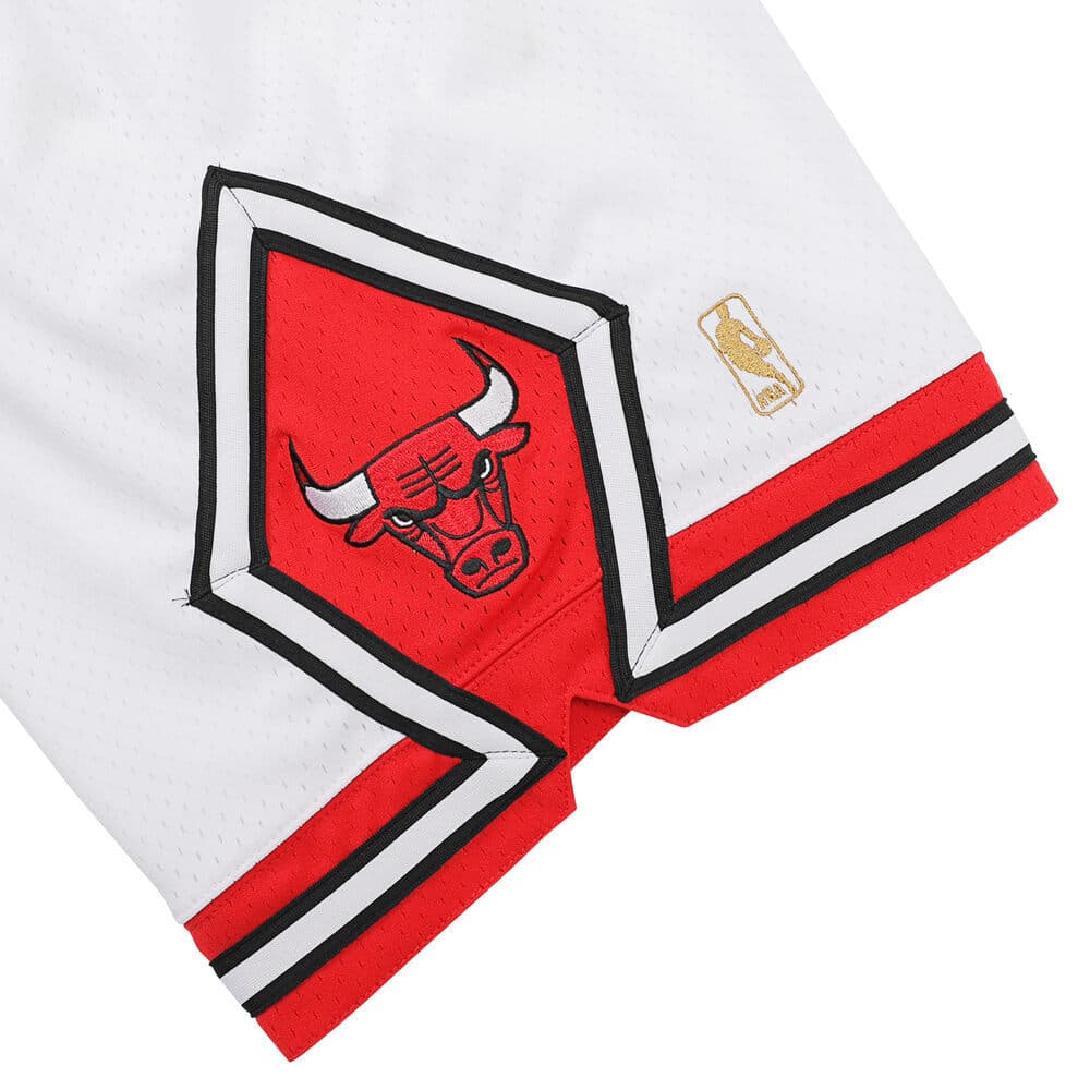 Баскетбольные шорты Mitchell Ness 1996-97MN - изображение 5