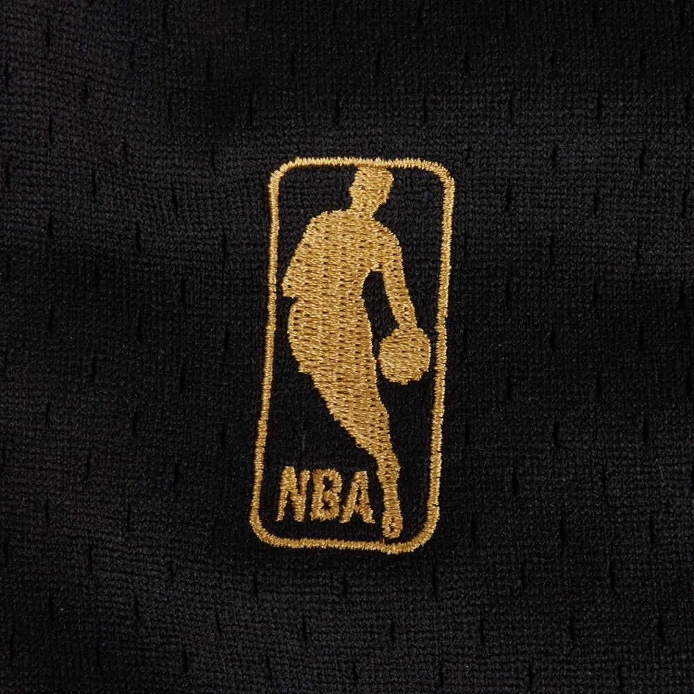 Баскетбольные шорты Mitchell Ness AU 96-97 - изображение 3