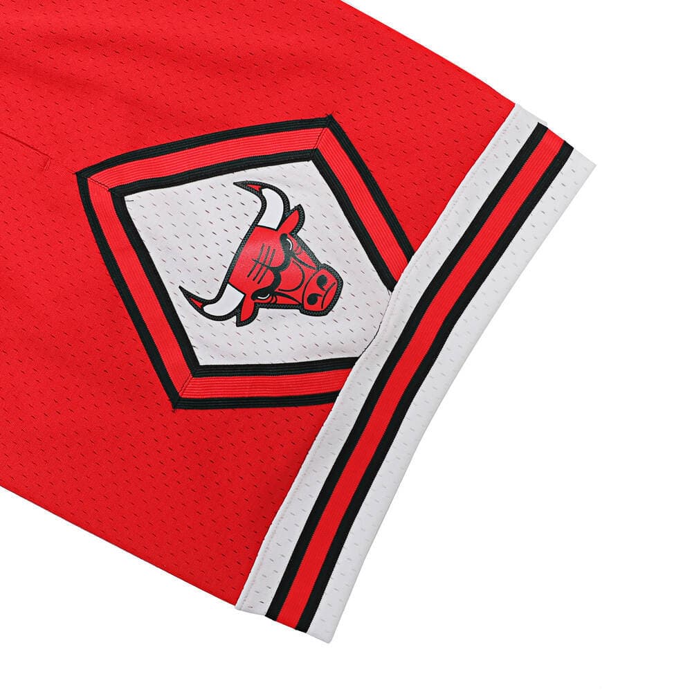 Баскетбольные шорты Mitchell Ness NBA SW 97-98 - изображение 8