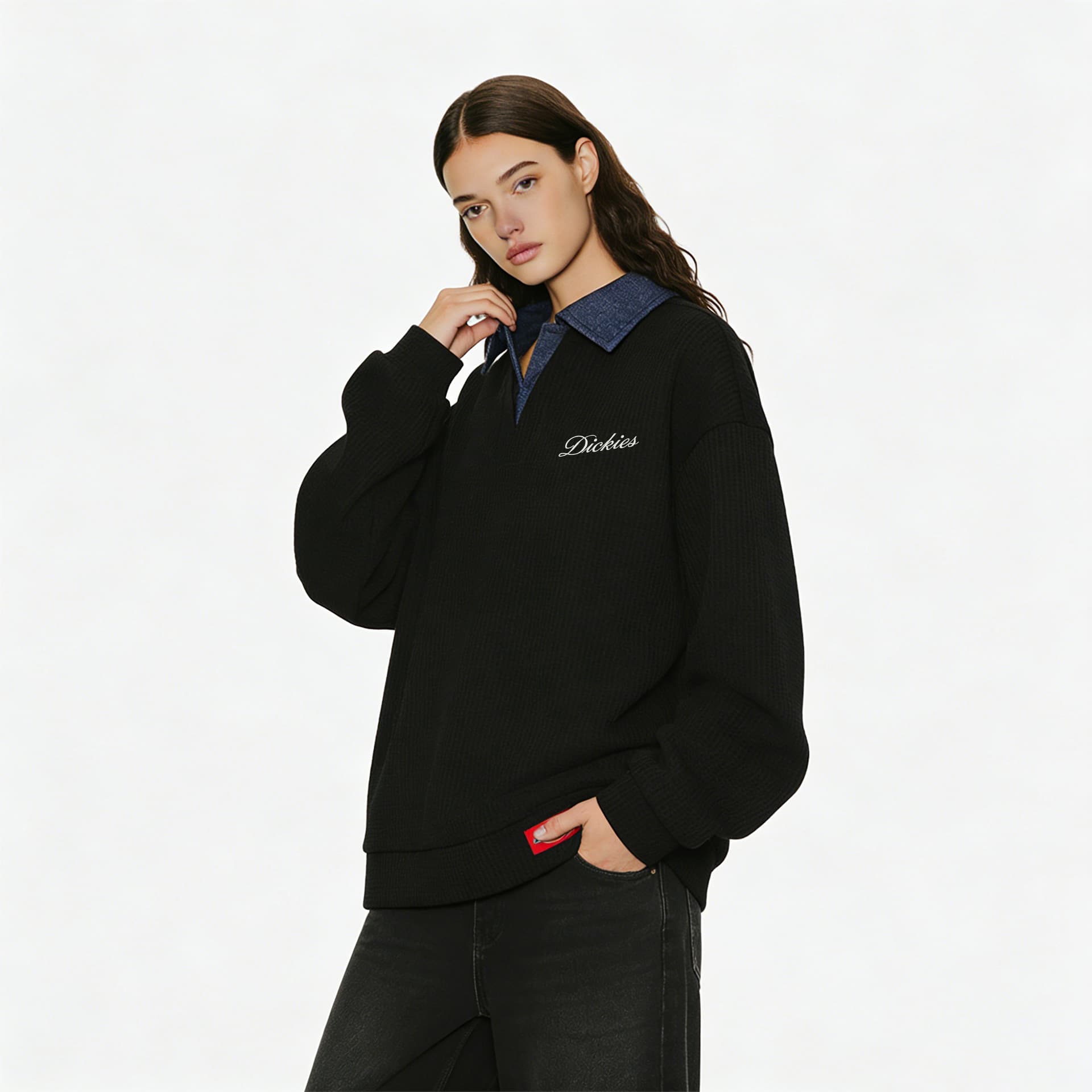 Худи Dickies logo - изображение 5