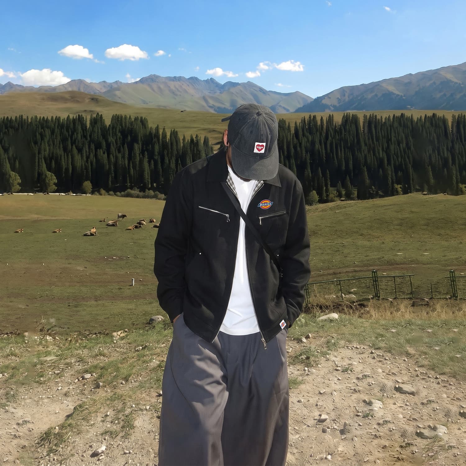 Куртка dickies Унисекс Куртки - изображение 8