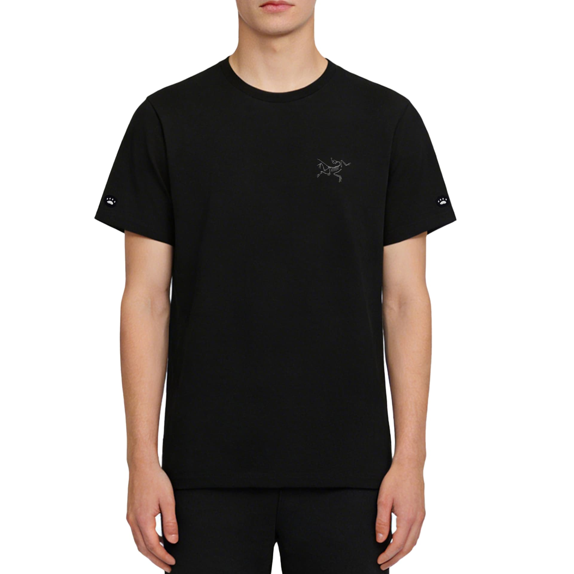 Футболка Arcteryx KRAGG logo T — фото 3
