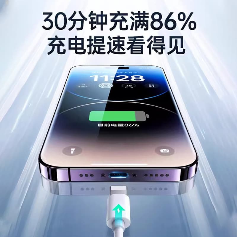 IPhone 10W20W30W PD - изображение 4