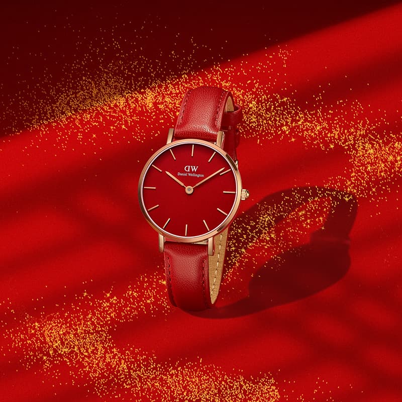 Ремешок для часов Daniel Wellington DW dw - изображение 2