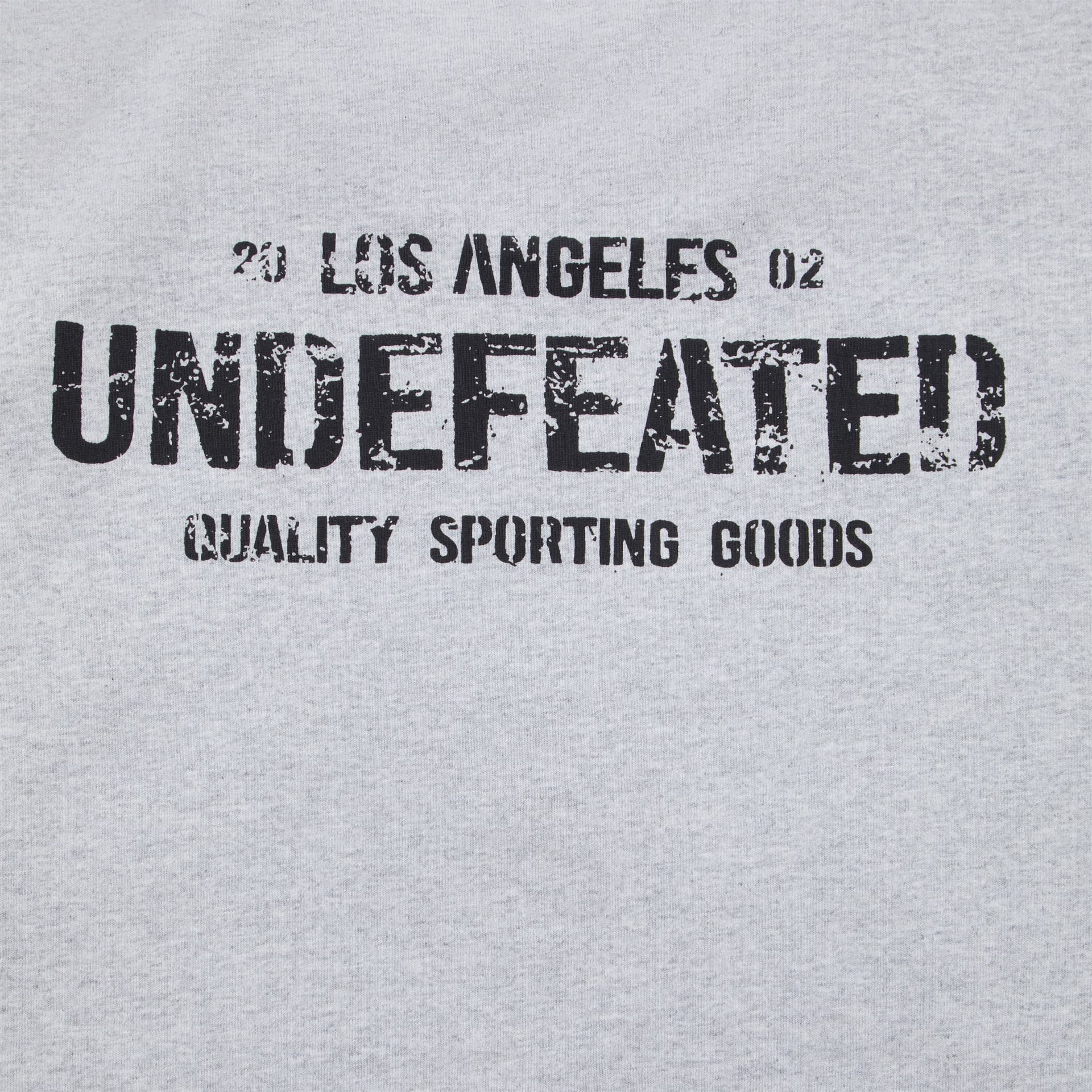 Майка Undefeated Унисекс Футболки - изображение 4