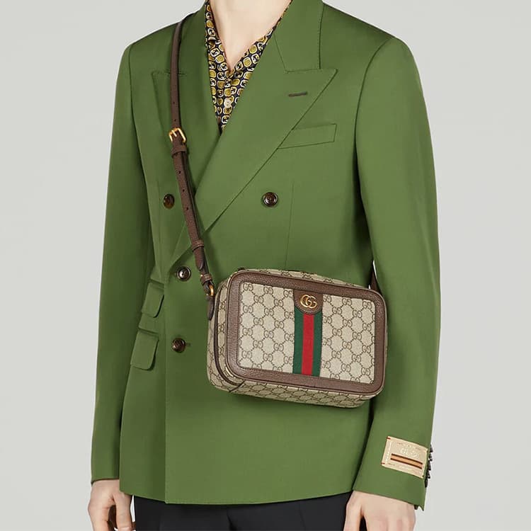 Сумка Gucci Ophidia Beige Ebony - изображение 11