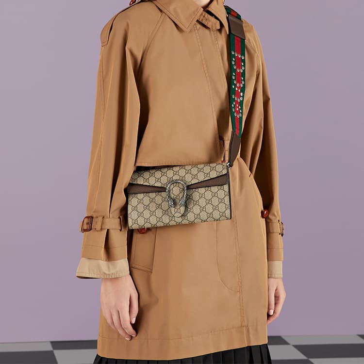 Мини-сумка Gucci Dionysus Brown - изображение 11