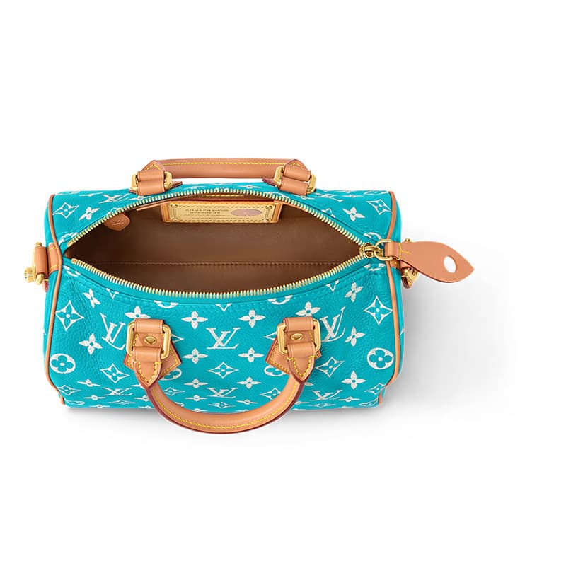Сумка LOUIS VUITTON BandoulireSpeedy 25 - изображение 4