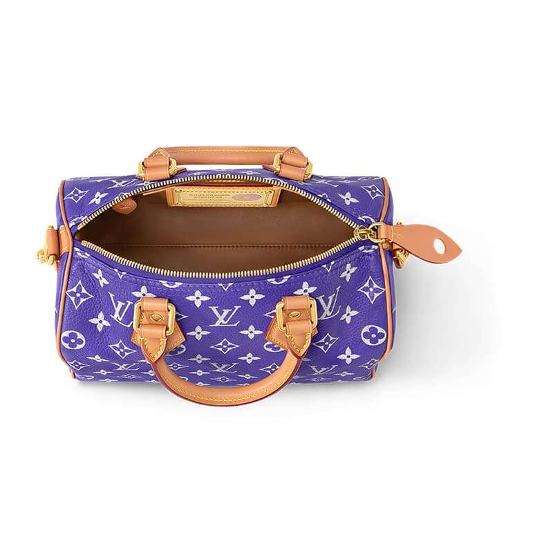 Сумка Louis Vuitton Speedy Bandoulière 25 - изображение 4