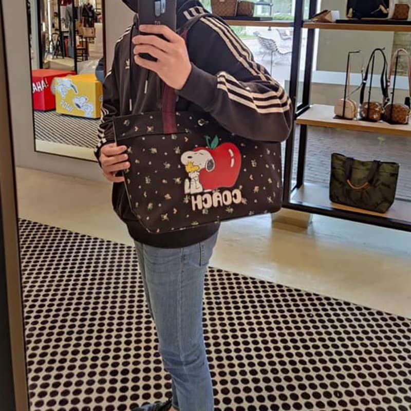 Мини-сумка COACH x Peanuts Snoopy Tote Bag - изображение 4