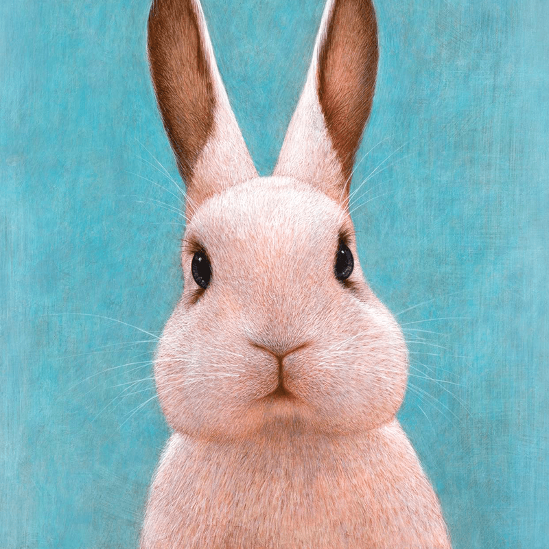 Постер 50*40cm - изображение 6