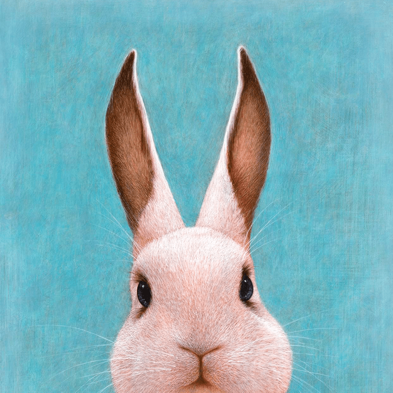 Постер 50*40cm - изображение 5