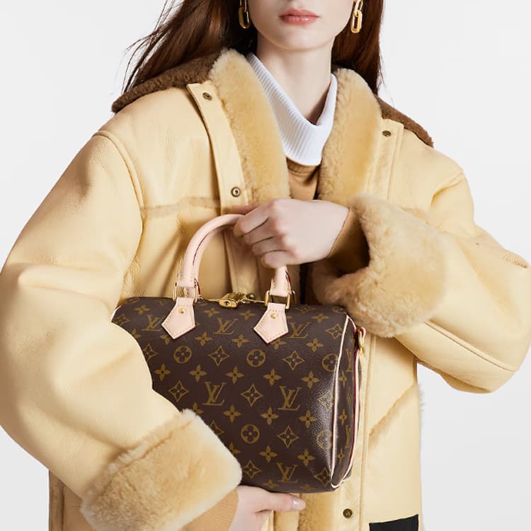 Сумка Louis Vuitton Speedy 25 - изображение 5