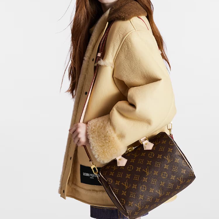 Сумка Louis Vuitton Speedy 25 - изображение 4
