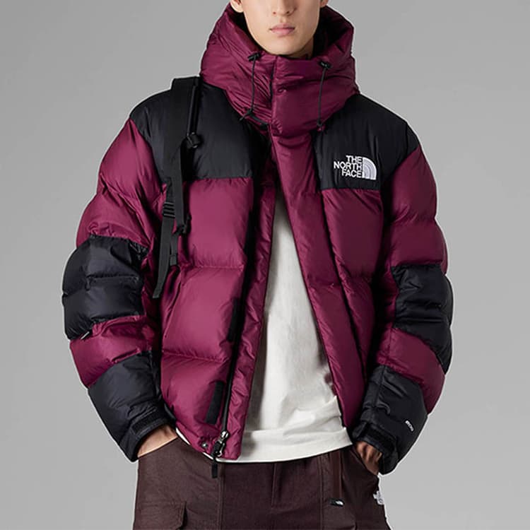 Зимняя куртка The North Face Urban Exploration 600 Fill Down Jacket - изображение 5