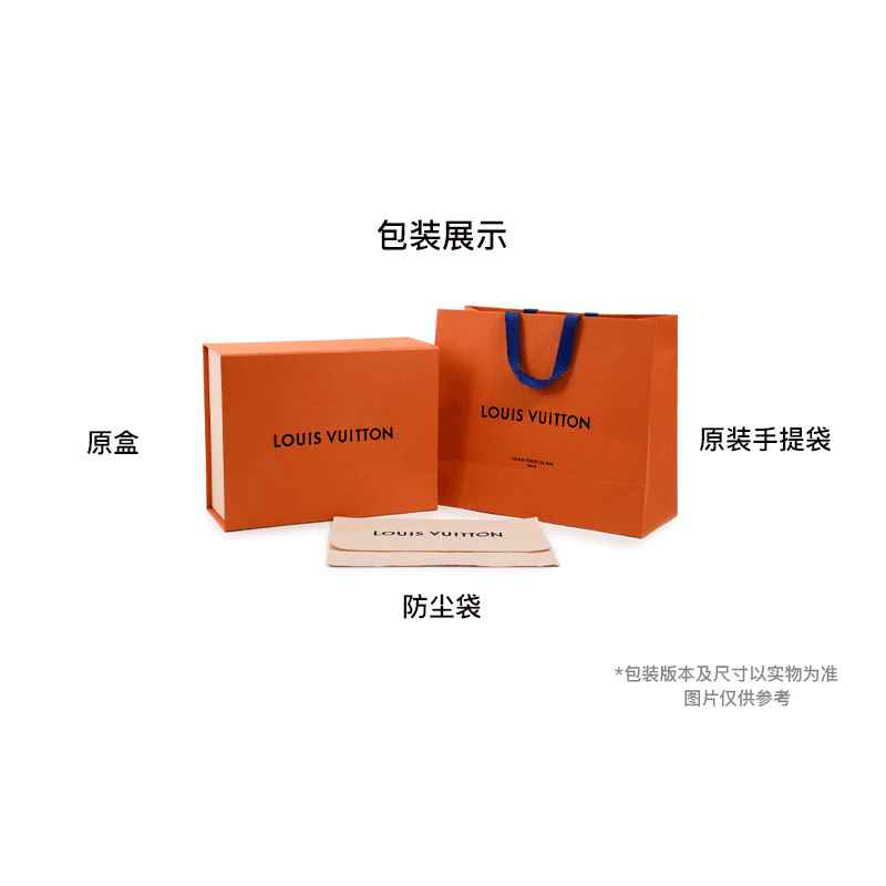 Мини-сумка Louis Vuitton Carryall PM Brown - изображение 6