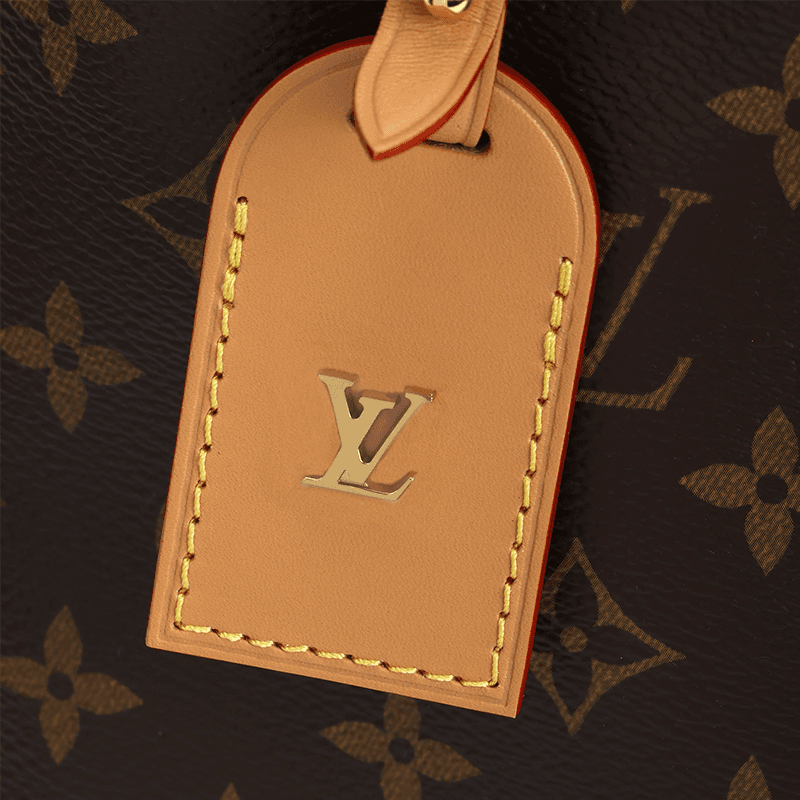 Мини-сумка Louis Vuitton Carryall PM Brown - изображение 5