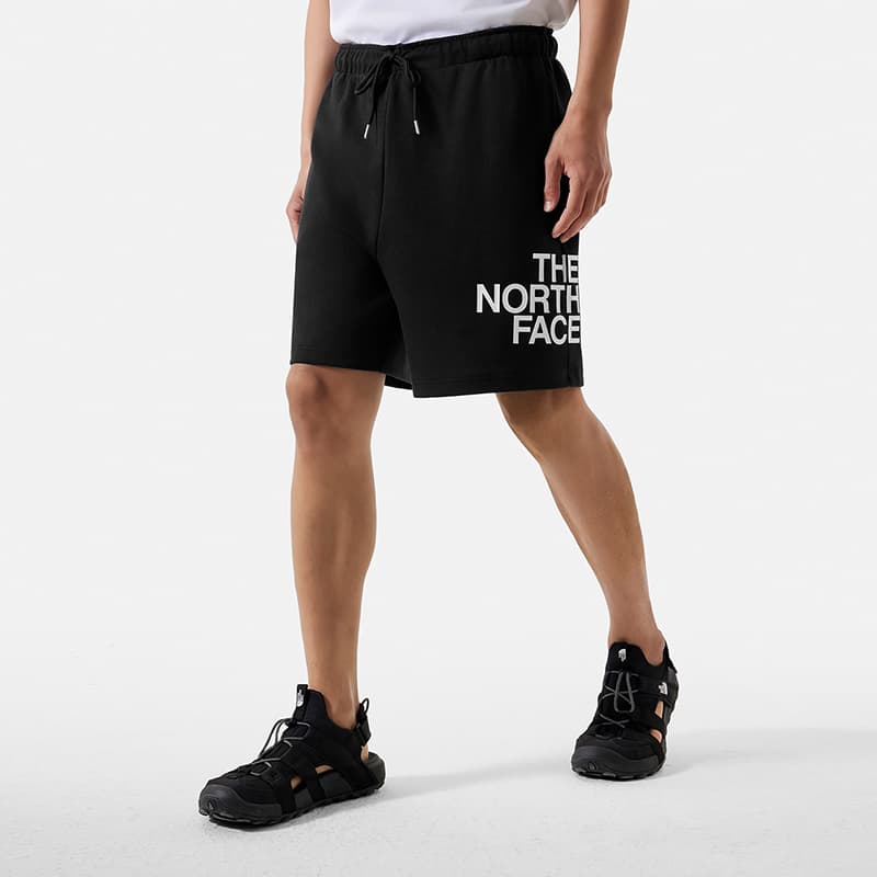 Шорты THE NORTH FACE Logo - изображение 3
