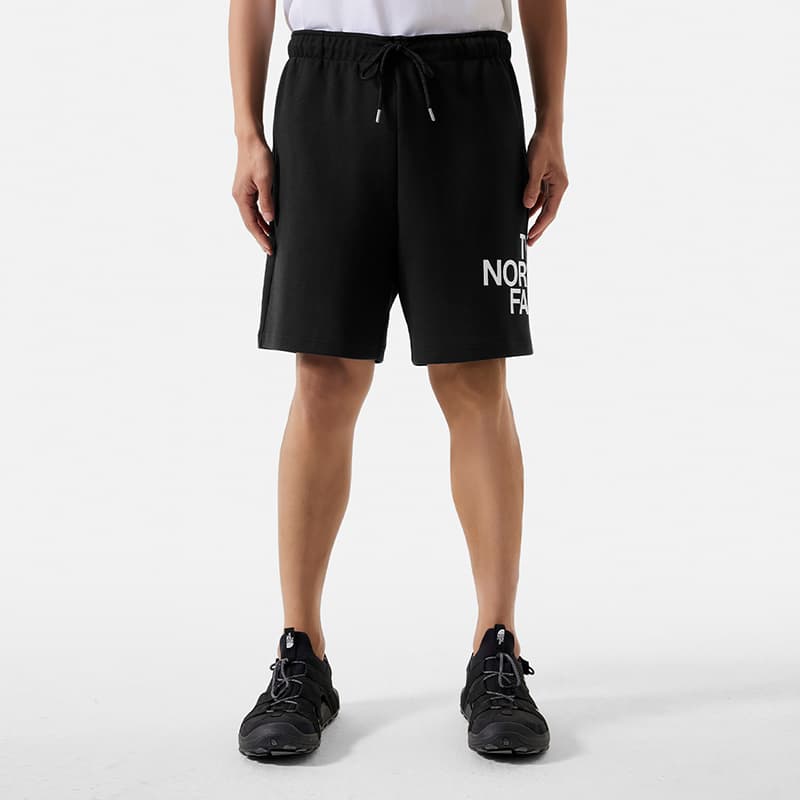 Шорты THE NORTH FACE Logo - изображение 4