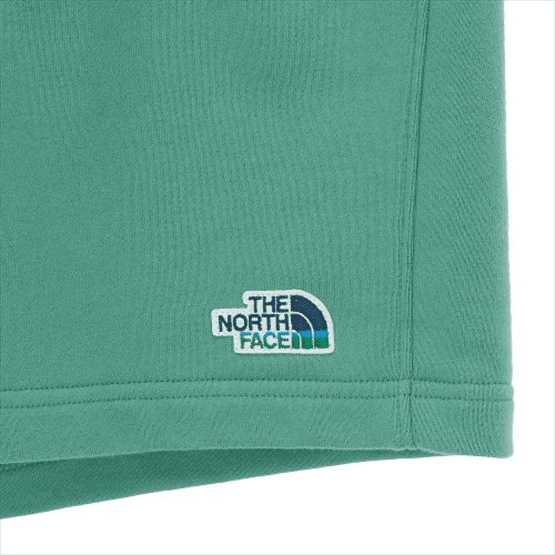 Шорты The North Face Logo Shorts Green - изображение 3