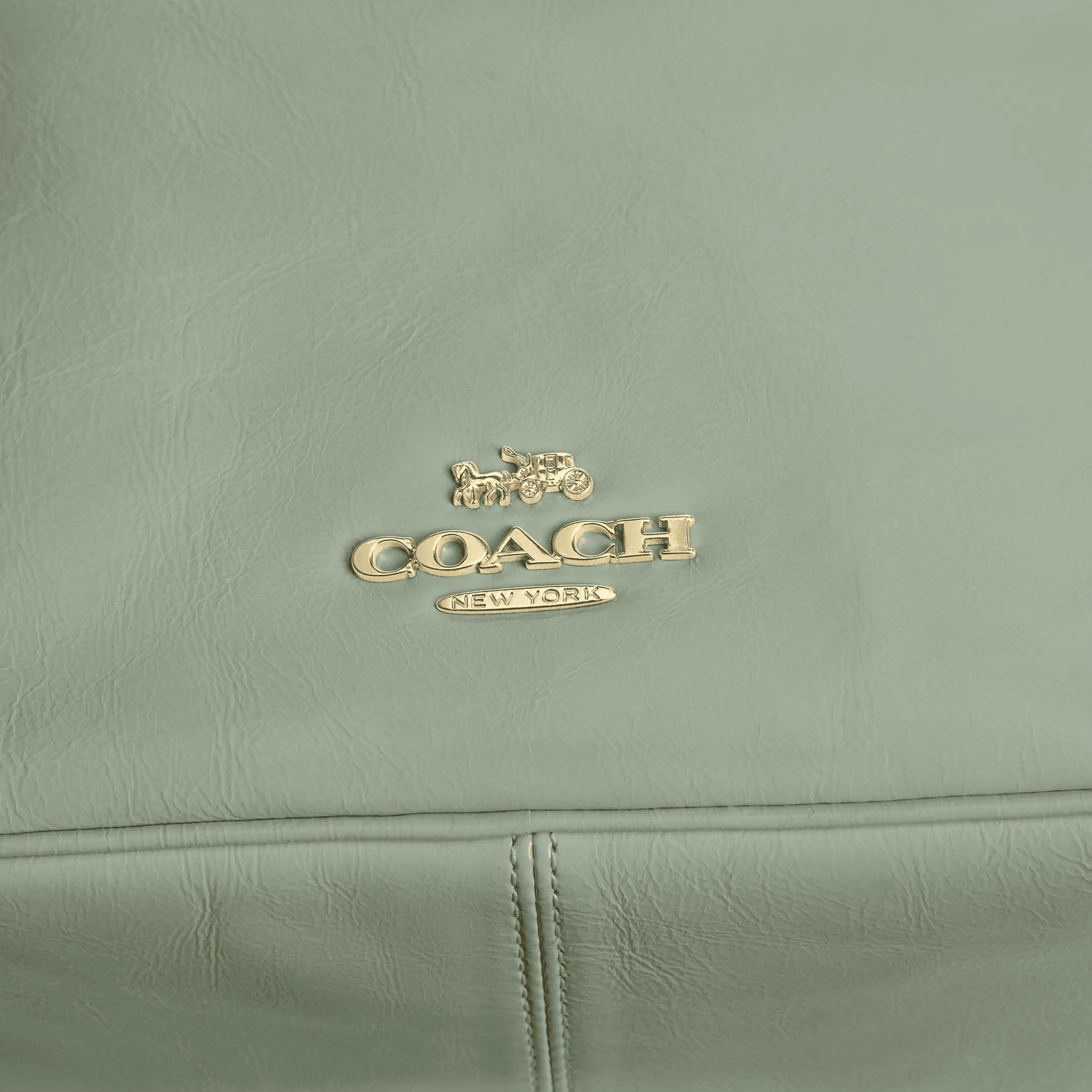 Сумка через плечо COACH 18 Carey - изображение 6