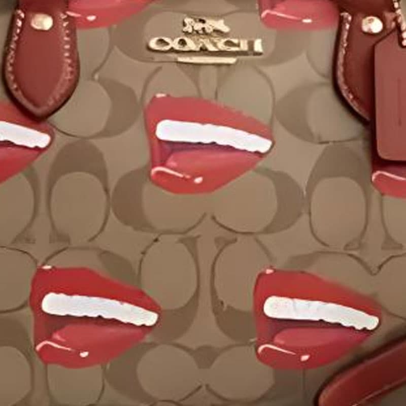 Сумка COACH X Tom Wesselmann Rowan - изображение 4