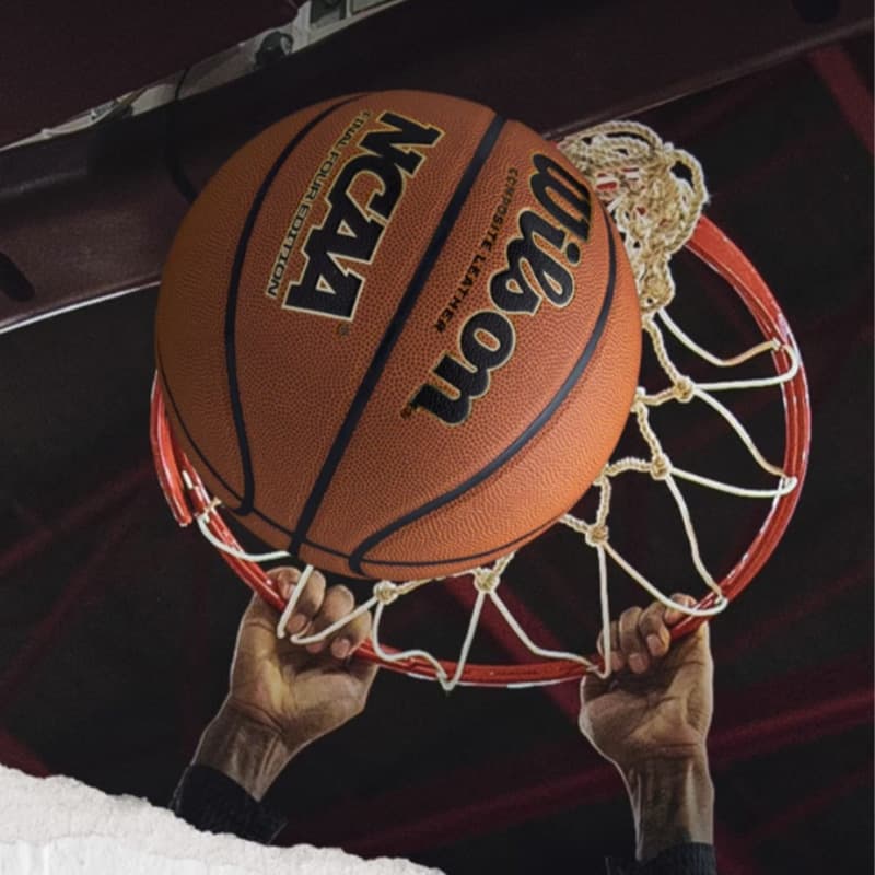 Мяч Wilson NCAA 7 PU - изображение 10