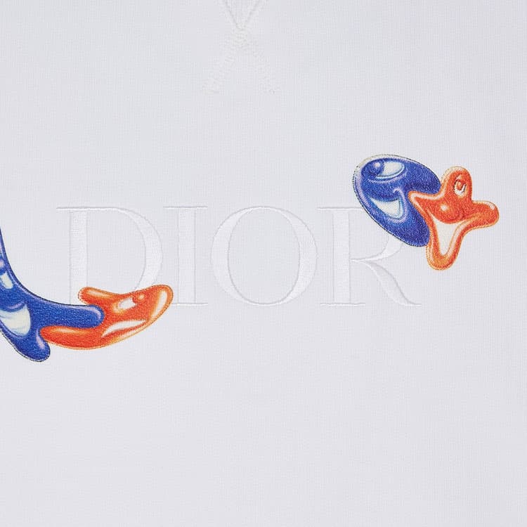 Худи DIOR x KENNY SCHARF DIOR - изображение 5