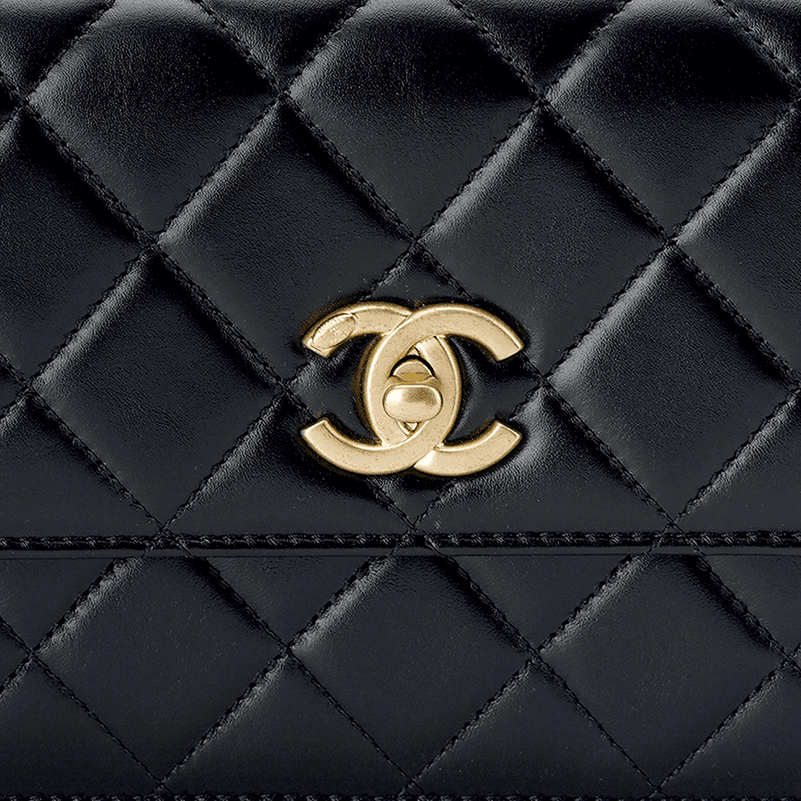 Сумка CHANEL 23P 2023 - изображение 5