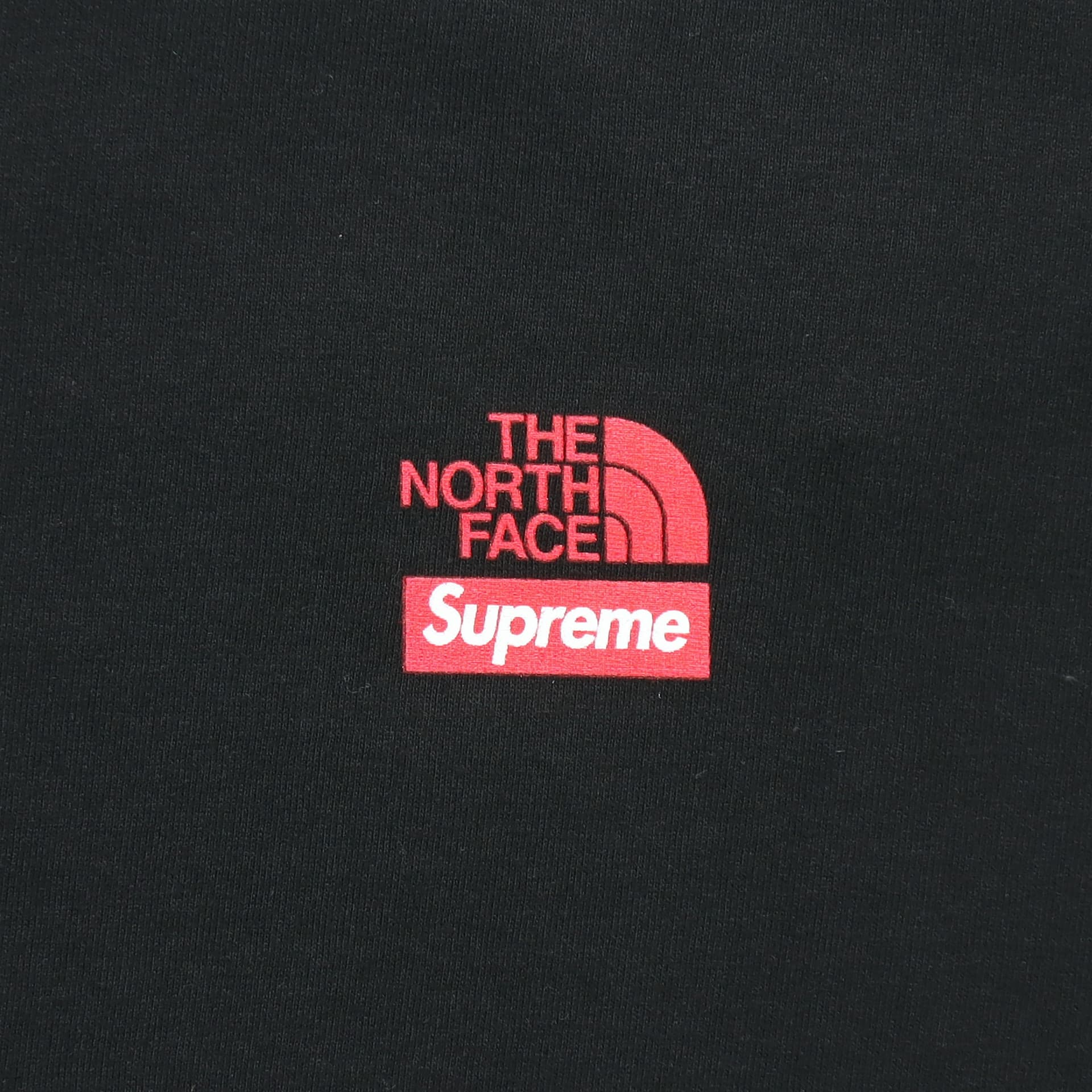 Футболка Supreme x The North Face Statue of Liberty Tee Black - изображение 6