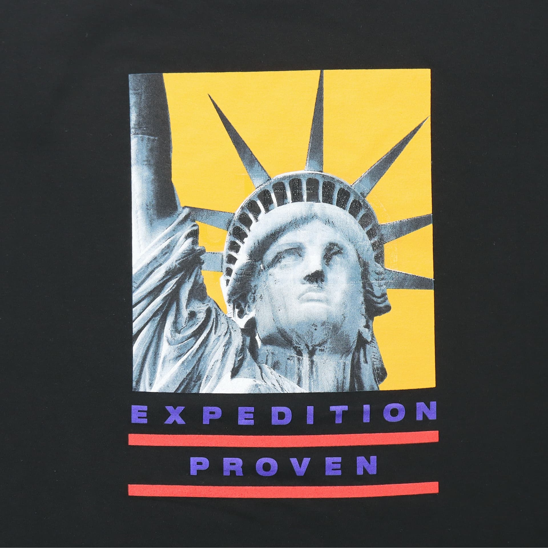 Футболка Supreme x The North Face Statue of Liberty Tee Black - изображение 5