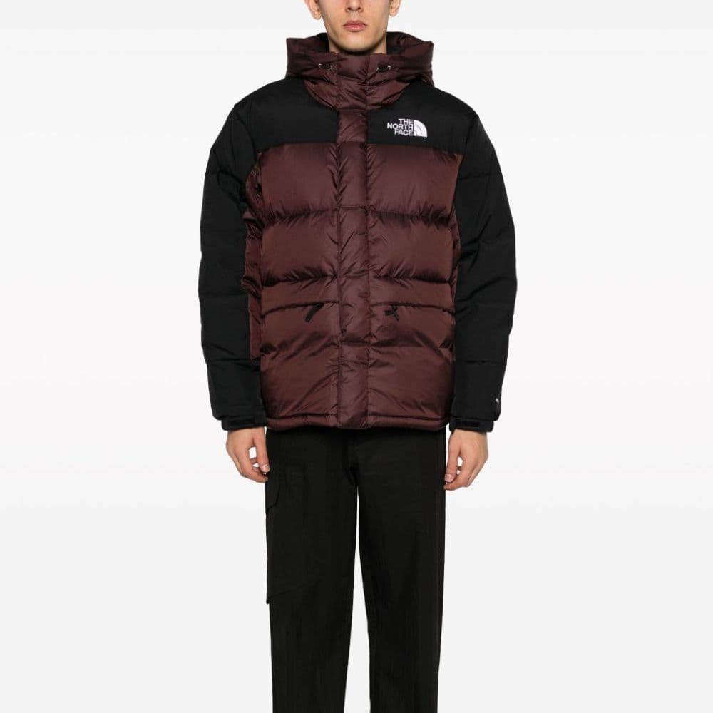 Зимняя куртка The North Face - изображение 2