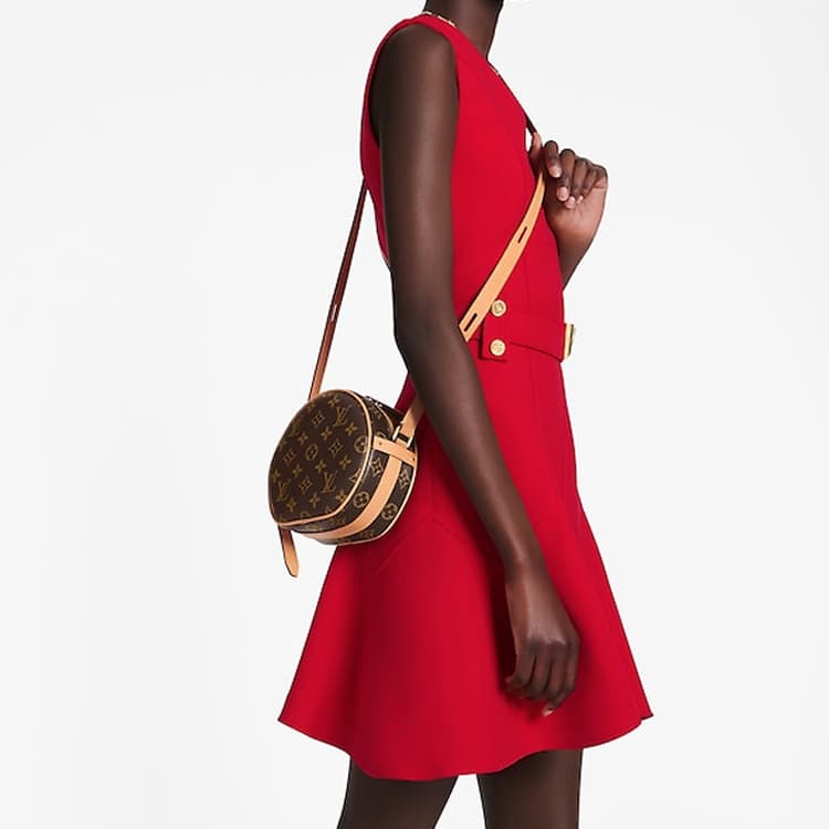 Сумка через плечо Louis Vuitton Boîte Chapeau Souple - изображение 6