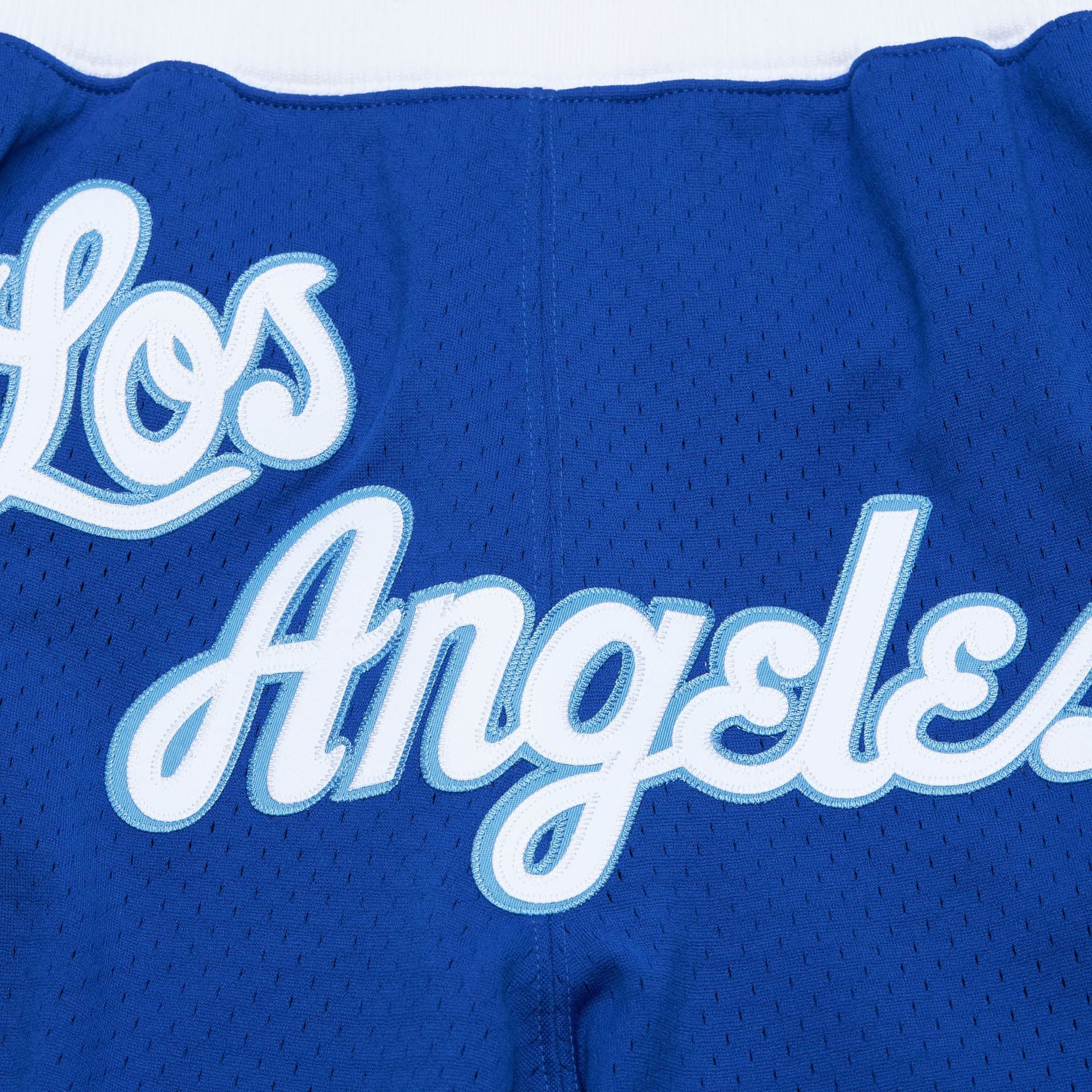 Баскетбольные шорты Mitchell & Ness x Just Don Los Angeles Lakers Basketball Shorts - изображение 4
