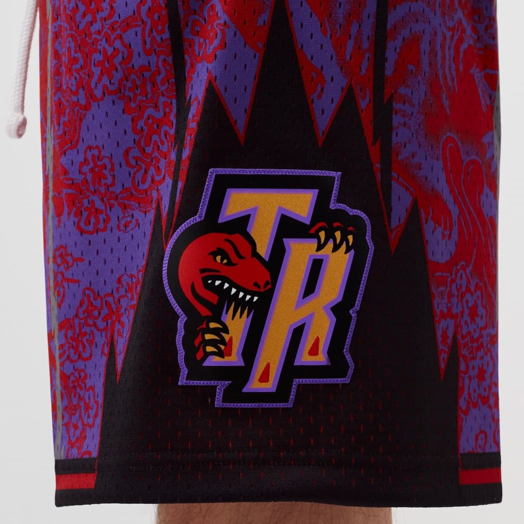 Баскетбольные шорты Mitchell Ness - изображение 4