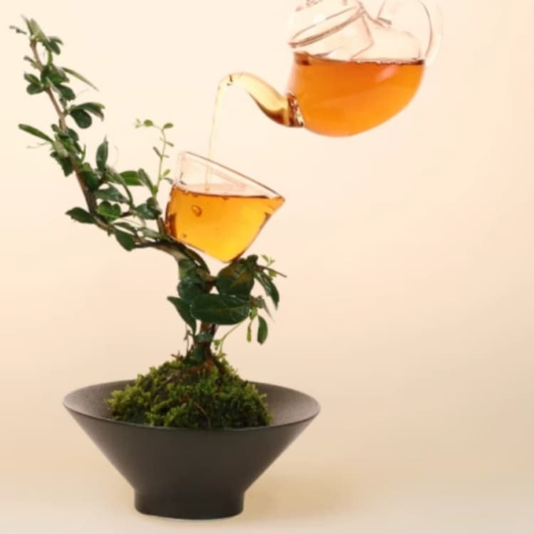 HEYTEA 500ml*15 000 - изображение 4