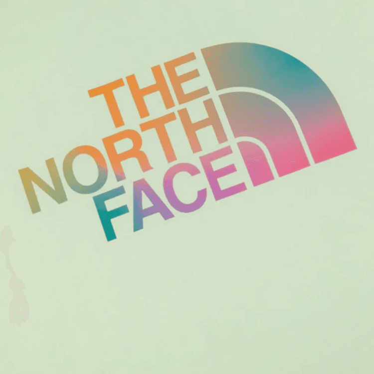Футболка THE NORTH FACE LogoT - изображение 3