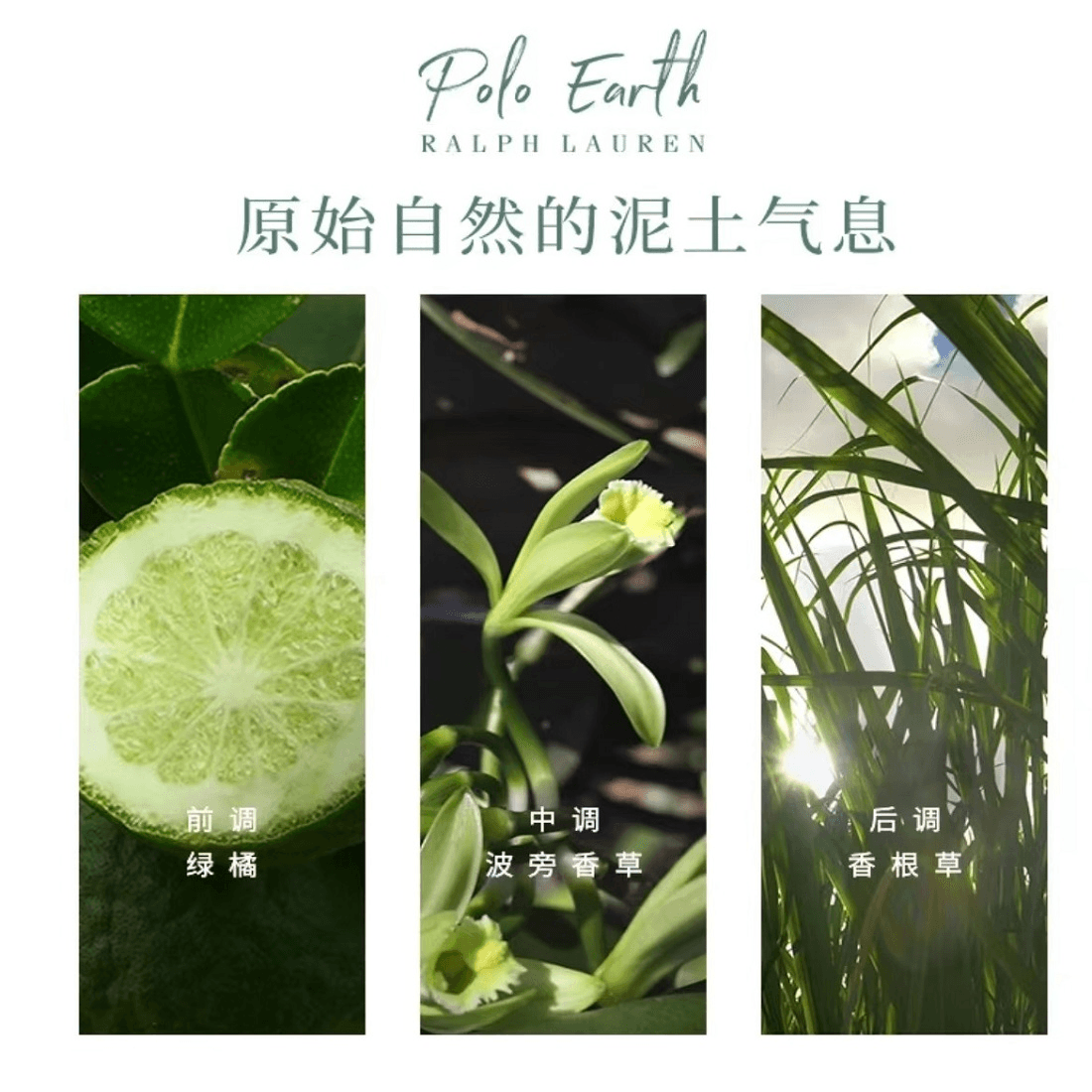 Парфюм Ralph Lauren Earth EDT - изображение 2