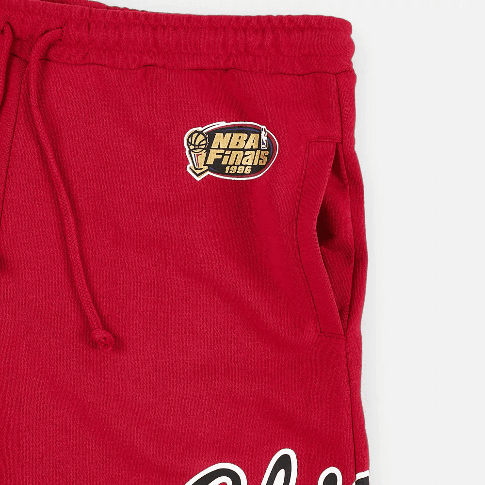 Баскетбольные шорты Mitchell Ness Logo - изображение 3