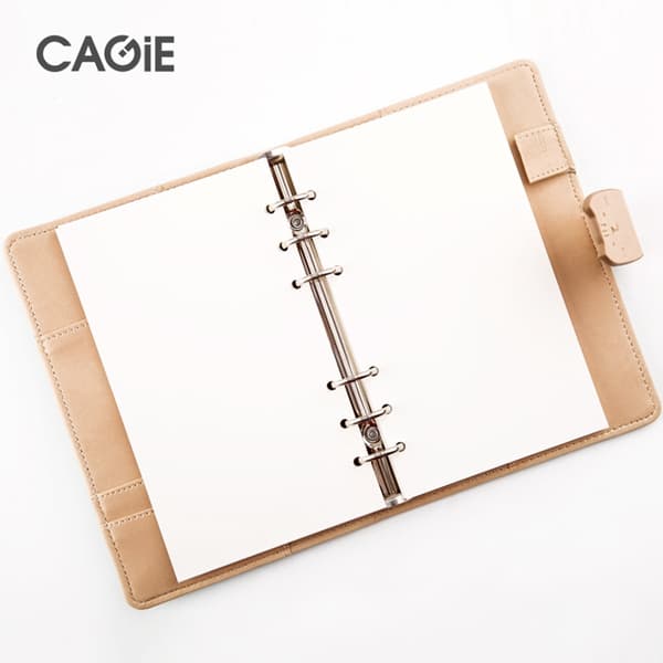 CAGIE A5A6B5 - изображение 6