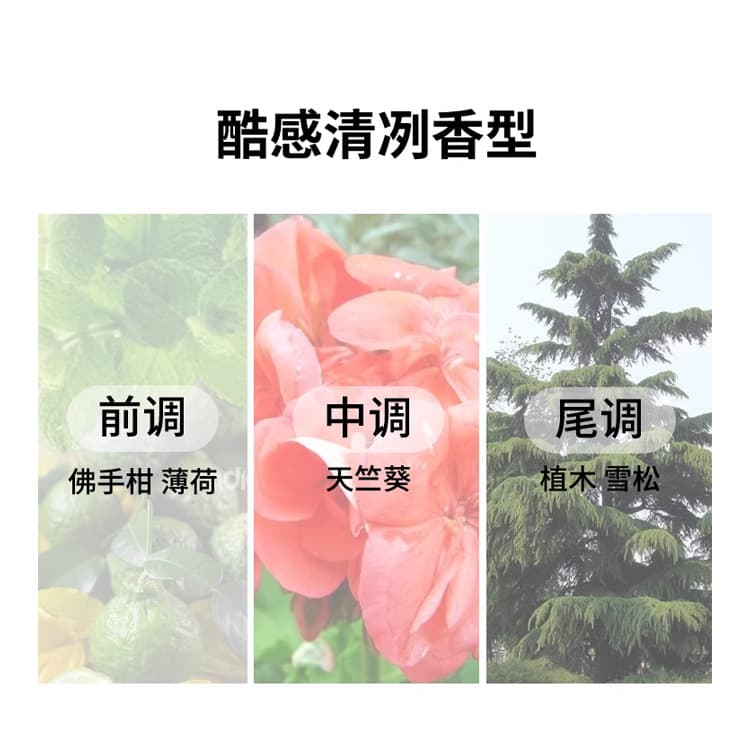 200ml200ml*2 - изображение 2