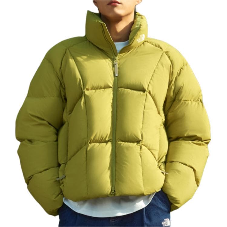 Зимняя куртка THE NORTH FACE OLAN Logo - изображение 5