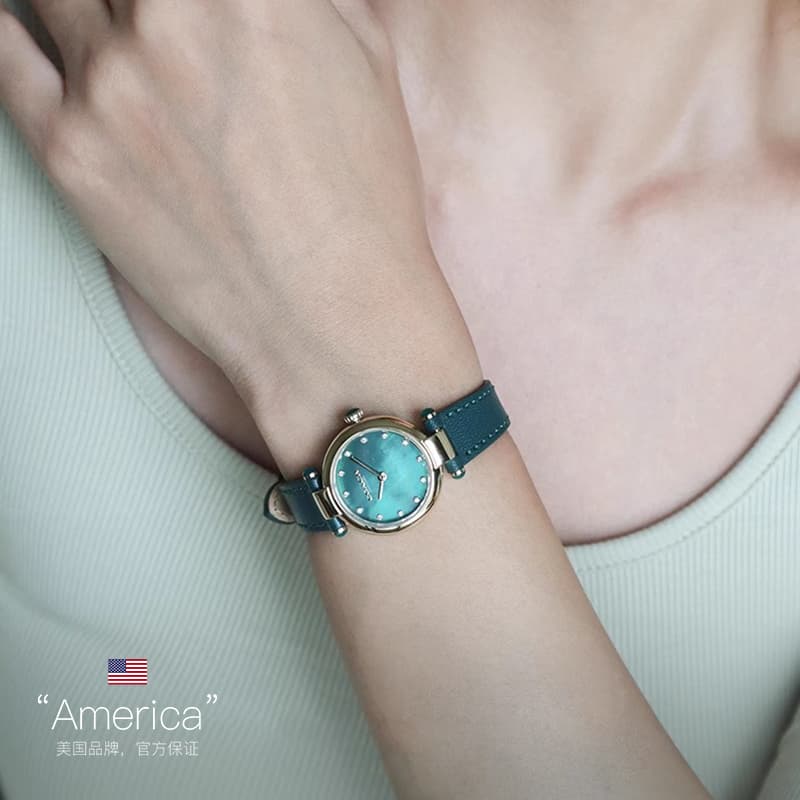 Механические часы COACH Cary 14503951 - изображение 4