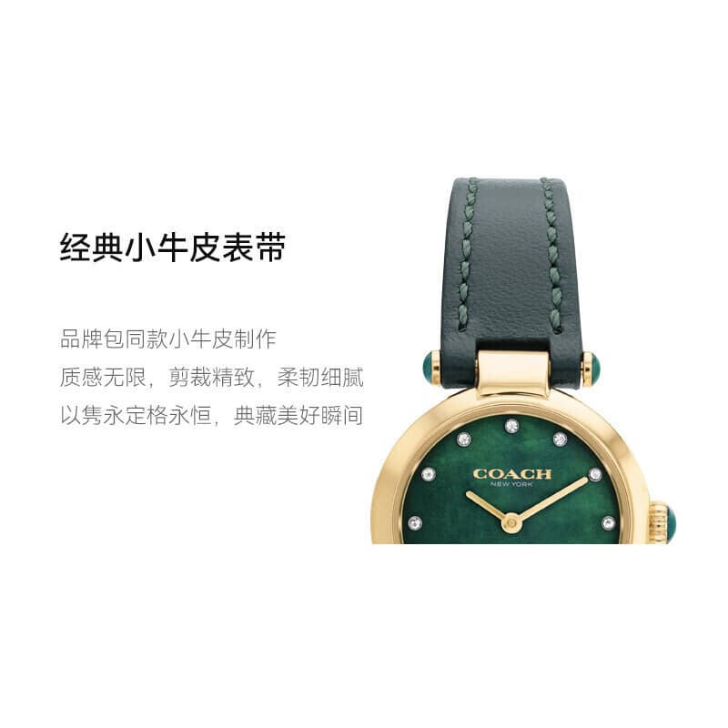 Механические часы COACH Cary 14503951 - изображение 8