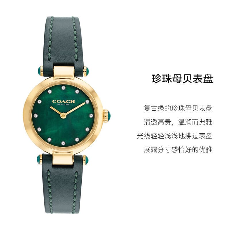 Механические часы COACH Cary 14503951 - изображение 3